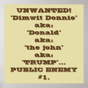 "Dimwit Donnie" Trump, staatsvijand #1 poster