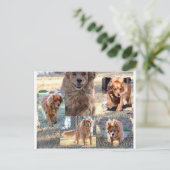 dinah briefkaart (Staand voorkant)