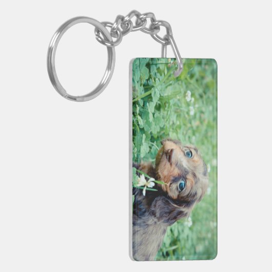 Dinah & Littermates Dubbele Foto Keepomwille Sleutelhanger (Voorkant Links)