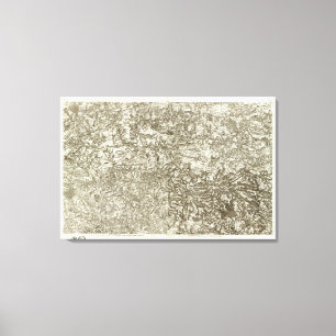 Dinan Canvas Afdruk