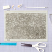 Dinan Tissuepapier (Craft)