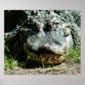 Dinasaur Poster (Voorkant)