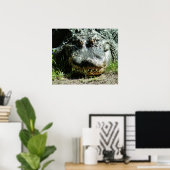 Dinasaur Poster (Thuiskantoor)