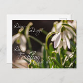 Ding-Dong! Der Frühling ist da! Briefkaart (Voorkant / Achterkant)
