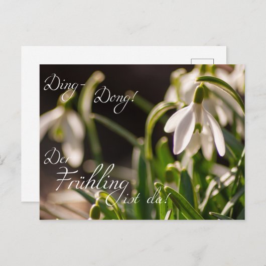 Ding-Dong! Der Frühling ist da! Briefkaart (Voorkant / Achterkant)