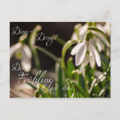 Ding-Dong! Der Frühling ist da! Briefkaart (Voorkant)