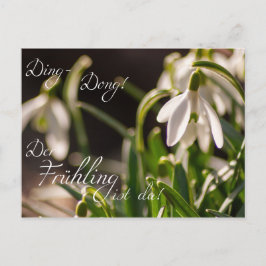 Ding-Dong! Der Frühling ist da! Briefkaart