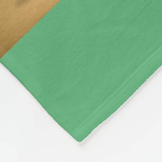 Dingaling Bros Circus acts Fleece Deken (Hoek)