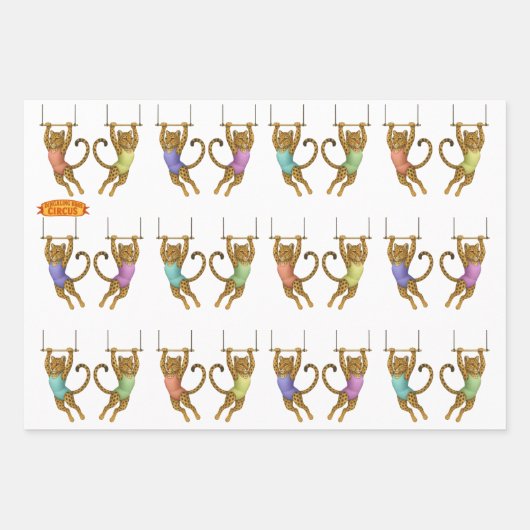 Dingaling Bros Circus acts Inpakpapier Vel (Voorkant)