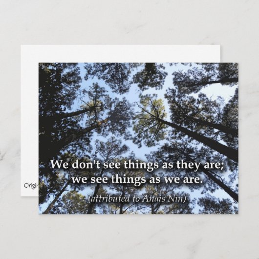 Dingen zien (bomen) briefkaart (Voorkant / Achterkant)