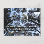 Dingen zien (bomen) briefkaart (Voorkant)