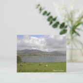Dingle Bay, Co. Kerry Briefkaart (Staand voorkant)