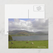 Dingle Bay, Co. Kerry Briefkaart (Voorkant / Achterkant)