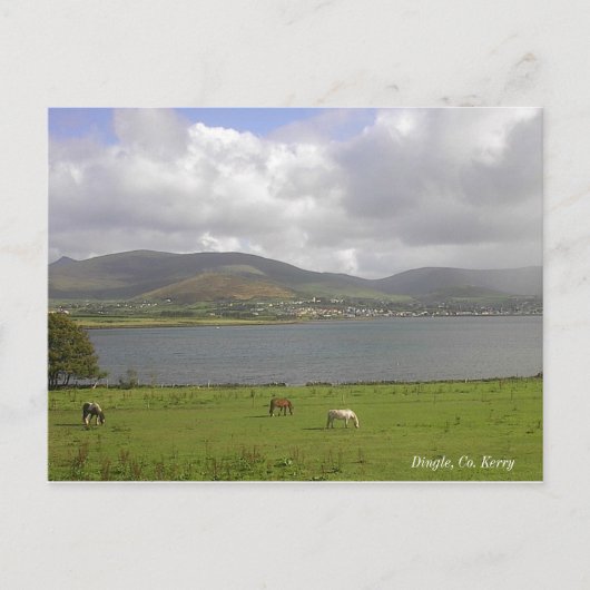 Dingle Bay, Co. Kerry Briefkaart (Voorkant)