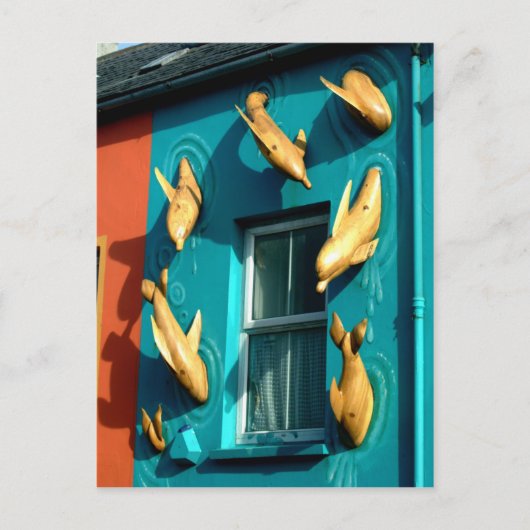 Dingle Dolphins op Souvenir Shop Briefkaart (Voorkant)