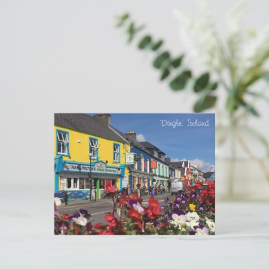 Dingle, Ierland Briefkaart (Staand voorkant)