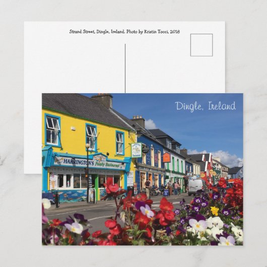 Dingle, Ierland Briefkaart (Voorkant / Achterkant)