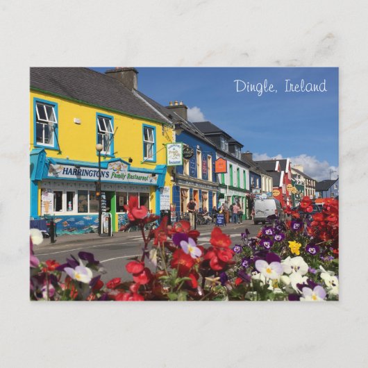 Dingle, Ierland Briefkaart (Voorkant)