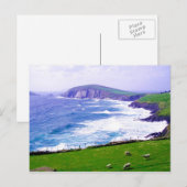 Dingle Ireland Briefkaart (Voorkant / Achterkant)