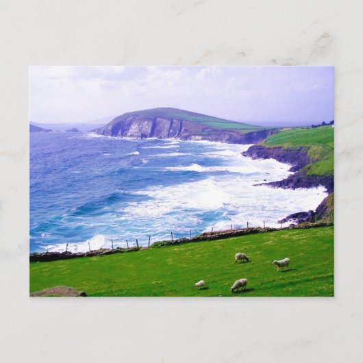 Dingle Ireland Briefkaart (Voorkant)