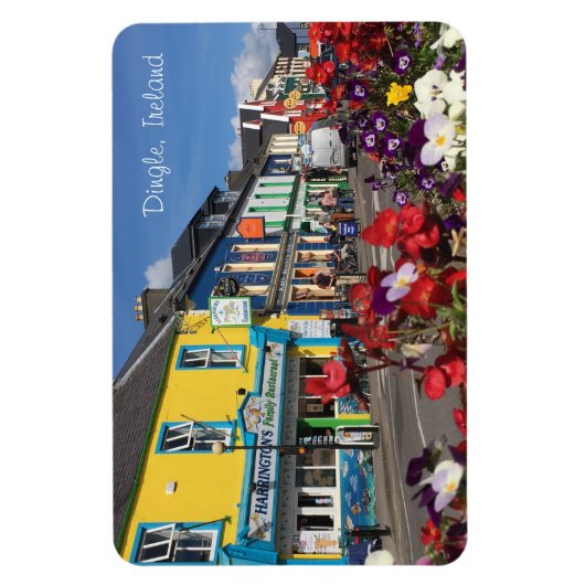 Dingle Ireland Magnet Magneet (Verticaal)
