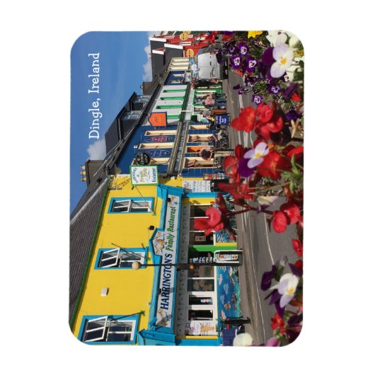 Dingle, Ireland Magnet Magneet (Verticaal)