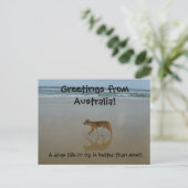 Dingo briefkaart (Staand voorkant)