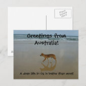Dingo briefkaart (Voorkant / Achterkant)