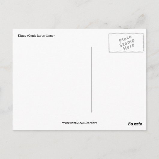 dingo briefkaart (Achterkant)