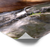 Dingo dat ligt op T-Shir-versiering van briefkaart Poster (Hoek)