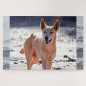Dingo Dog Adult Legpuzzel (Horizontaal)