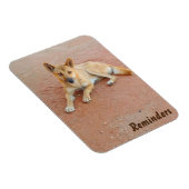 Dingo fotomagneet magneet (Rechterzijde)