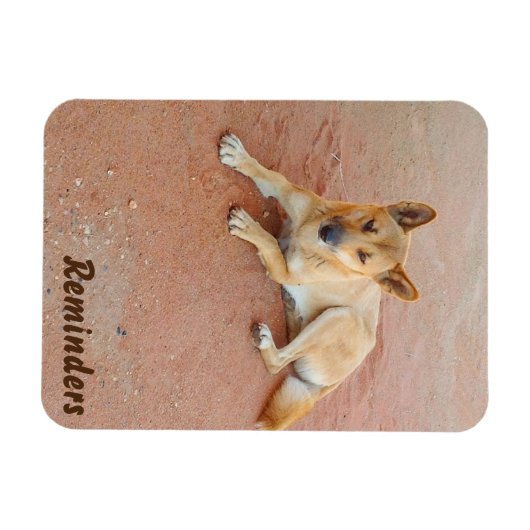 Dingo fotomagneet magneet (Horizontaal)