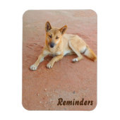 Dingo fotomagneet magneet (Verticaal)