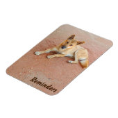 Dingo fotomagneet magneet (Linkerzijde)