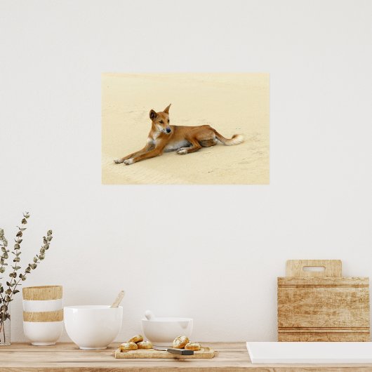 Dingo in het wild poster (Keuken)