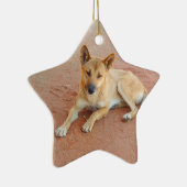 Dingo Keramisch Ornament (Rechts)