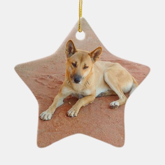 Dingo Keramisch Ornament (Voorkant)