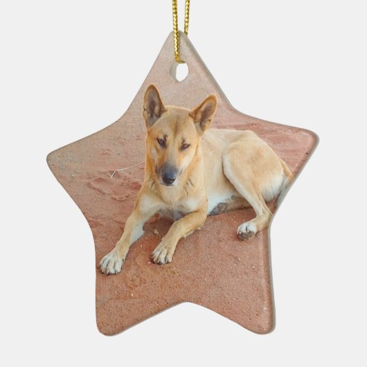 Dingo Keramisch Ornament (Links)