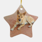 Dingo Keramisch Ornament (Achterkant)