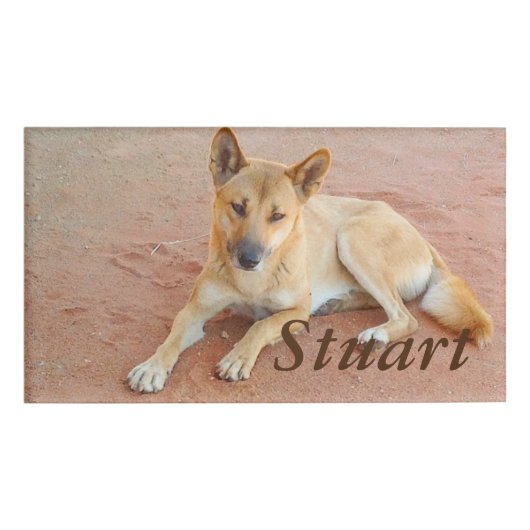 Dingo name tag (Voorkant)