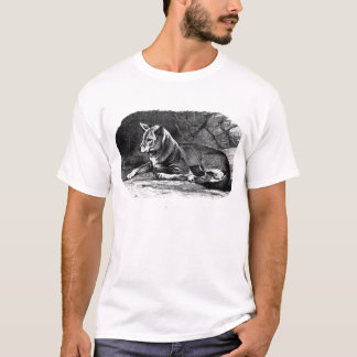dingo t-shirt