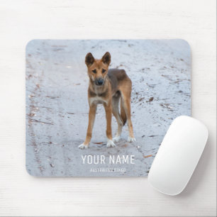 Dingo Wild Dog Australia Fraser Island Animal Muismat
