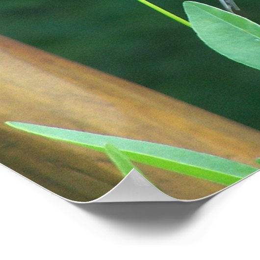 Dining Goldfinch Poster (Hoek)