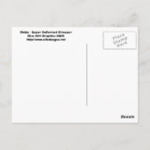 Dinito, de supermisvormde dinosaurus. Briefkaart (Achterkant)