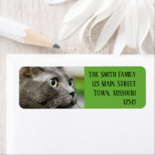 Dinken Etiket (Insitu)