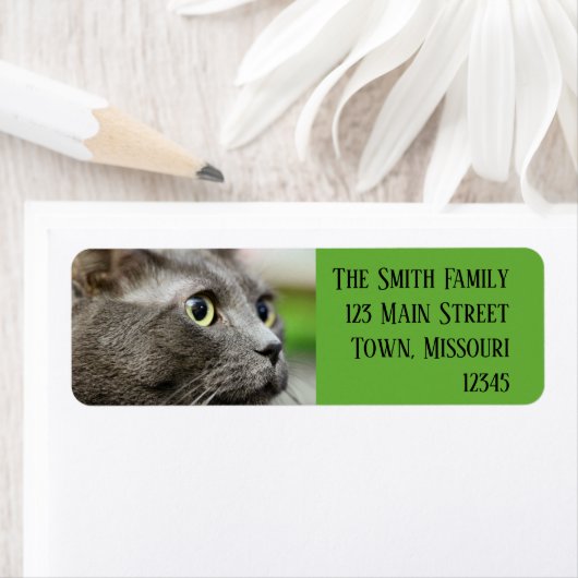 Dinken Etiket (Insitu)