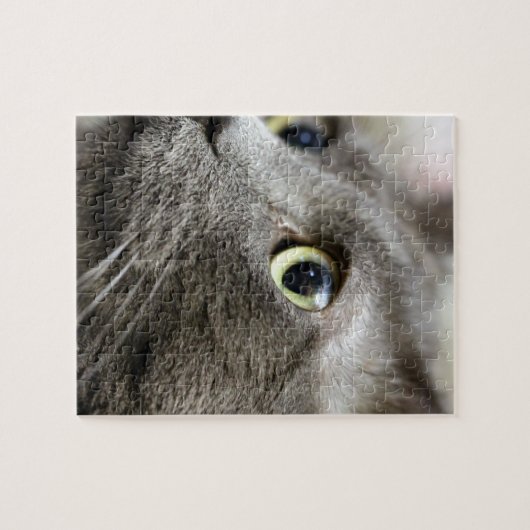 Dinken Legpuzzel (Horizontaal)