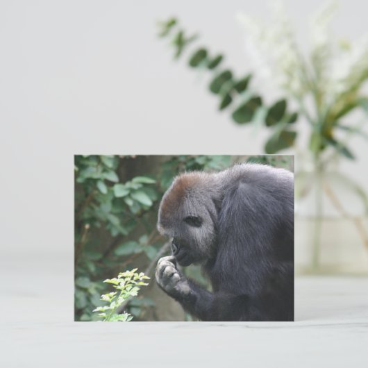 Dinking gorilla-briefkaart briefkaart (Staand voorkant)