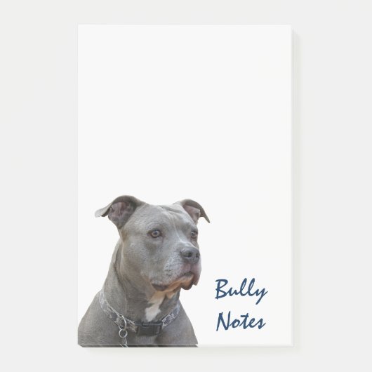 Dinking Pitbull Bully Notes (Voorkant)